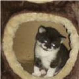 Meet your Posher, Kathy